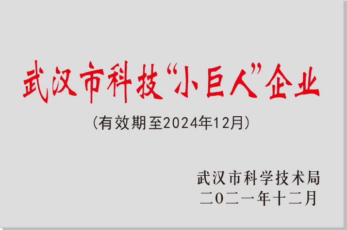 武漢市“科技小巨人”企業